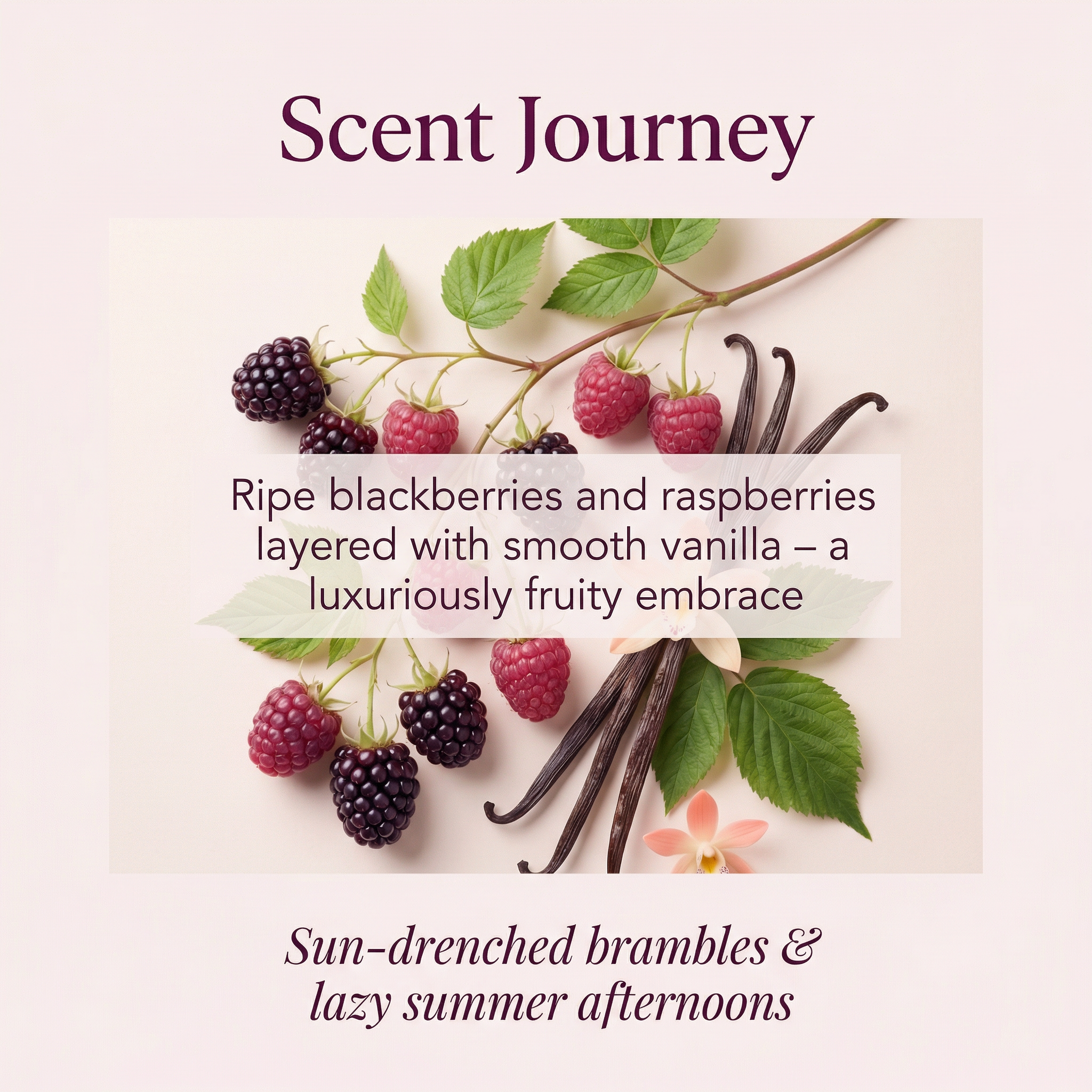 Summer Berries Bar