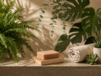 Elevated Soap Dish